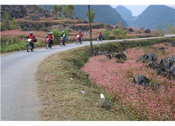 vespa tour hanoi - Ninh Binh Ha Giang Motorbike Tour 4 Days